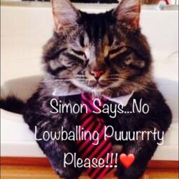 Silver Owl Watch Necklace - Picture 5 of 6